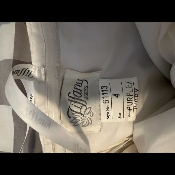 Tiffany Prom dress - size 4 - Picture 8 of 8